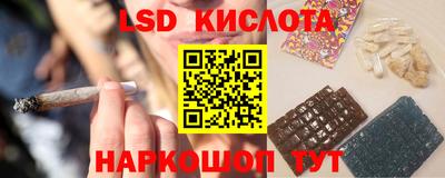 стаф Кингисепп