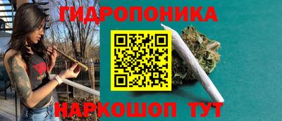 стаф Кингисепп