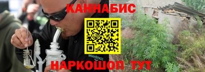 стаф Кингисепп