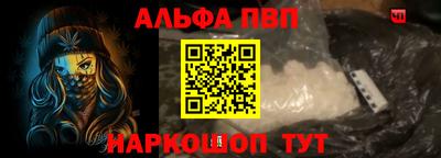 стаф Кингисепп