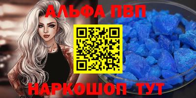 стаф Кингисепп