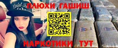 стаф Кингисепп
