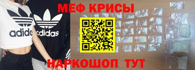 стаф Кингисепп