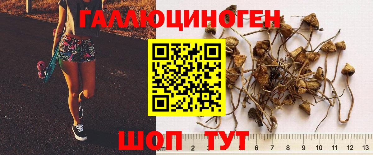 Шелехов  Галлюциногенные грибы прущие грибы  Вход с VPN 